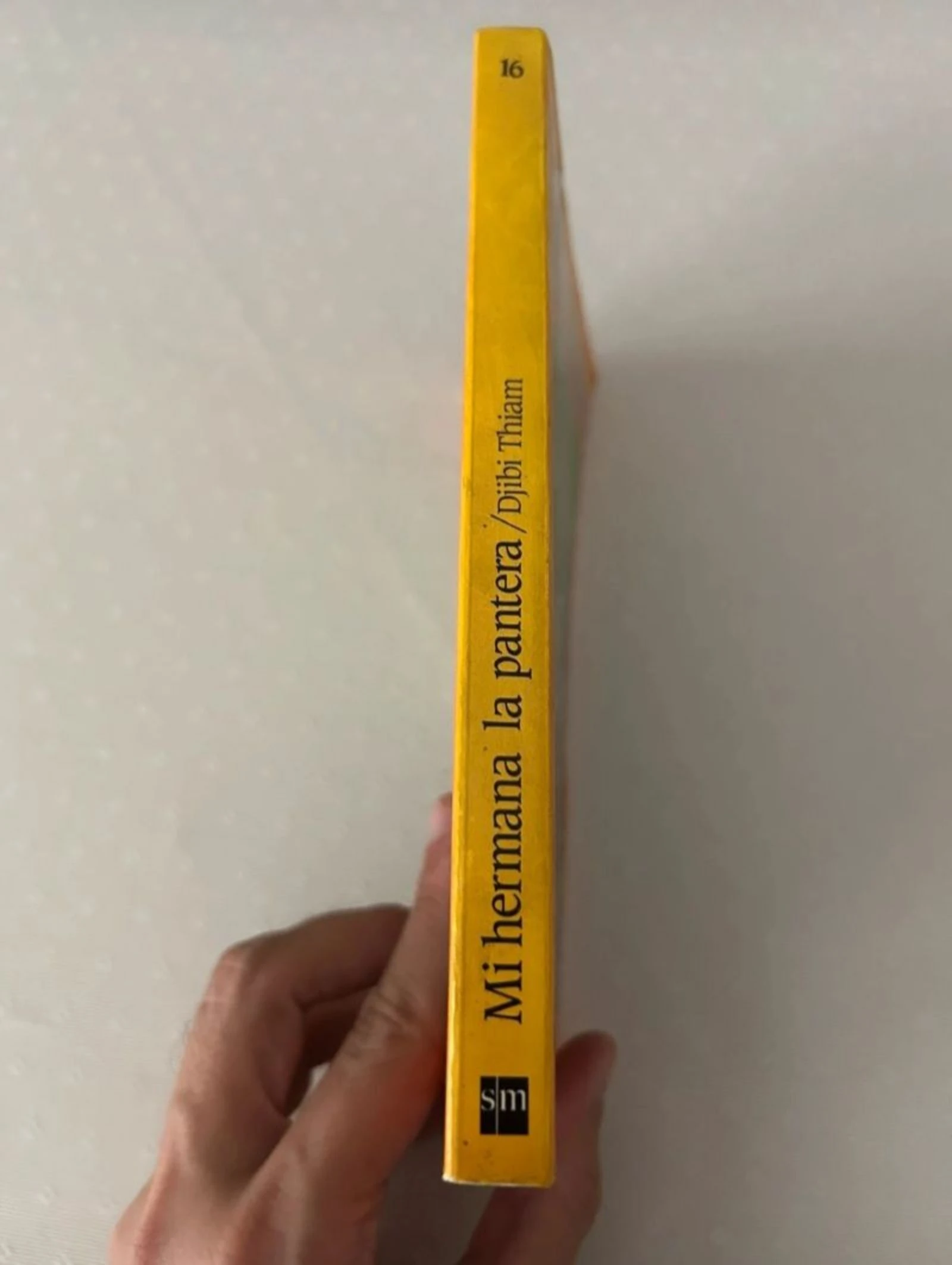 Livro: minha irmã a pantera – photo 3